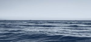 La estrategia del océano azul