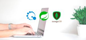 Usando Querydsl en Spring Data MongoDB